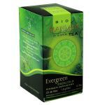Tymi: mandala tea evergreen