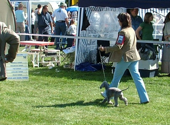 10071083_2f764b2edbeb704c07c69971fc9aec10_m.jpg