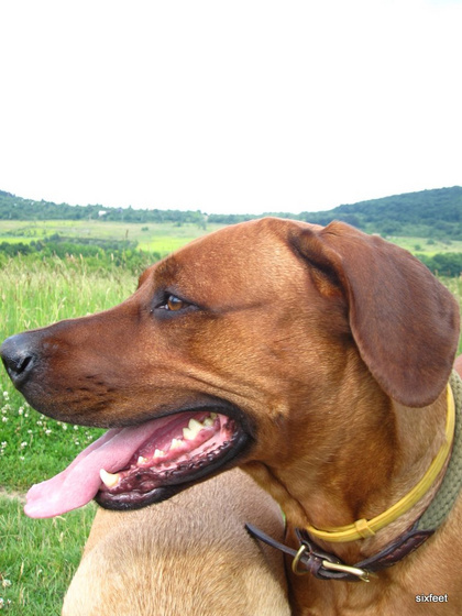 12000335_3cdfd336214e8c6cf42144c795a9b0a1_m.jpg