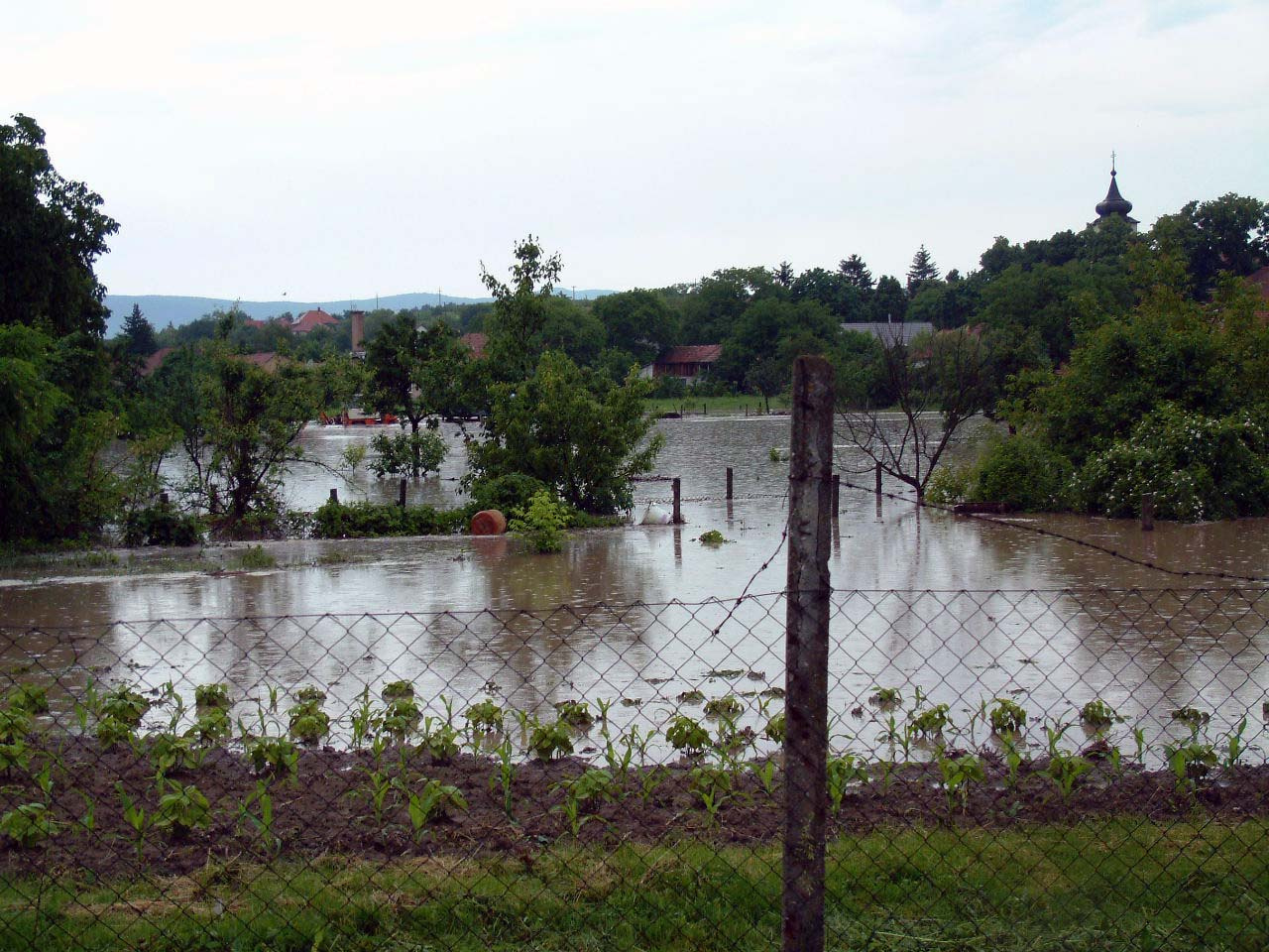 2010 05 29 Novaj áradás 048 1