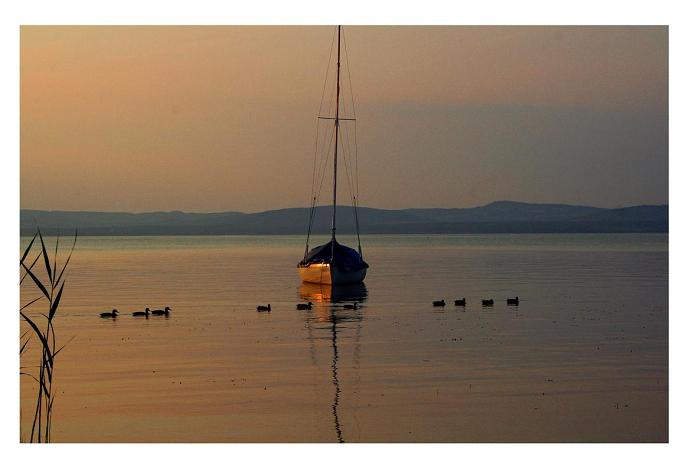 Balaton