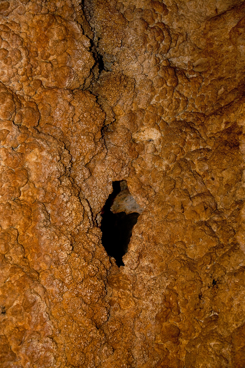 barlang 8