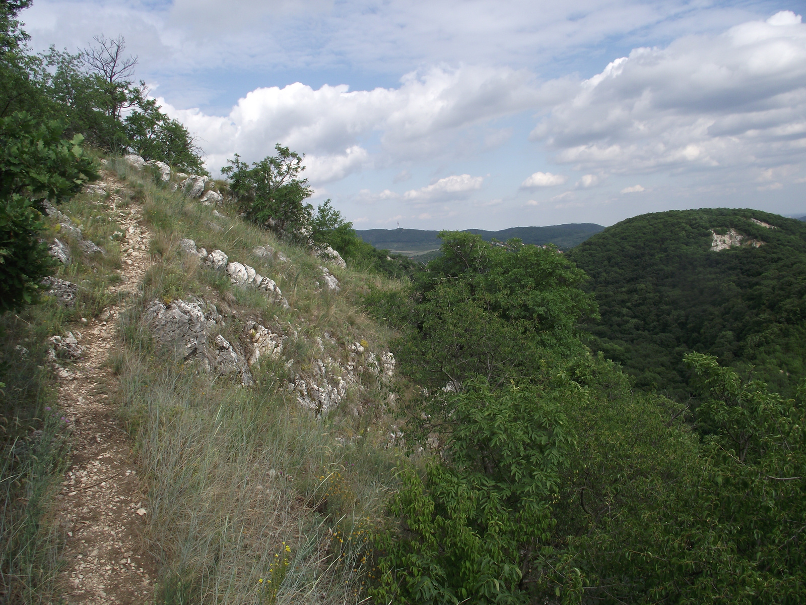 Buda határán, 2011.06.26. 011