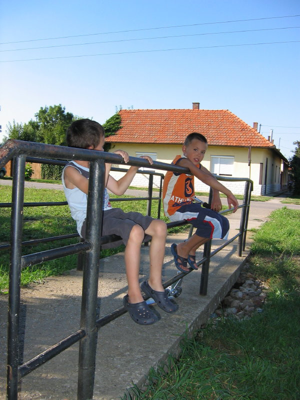 szarvas2008.augusztus 144