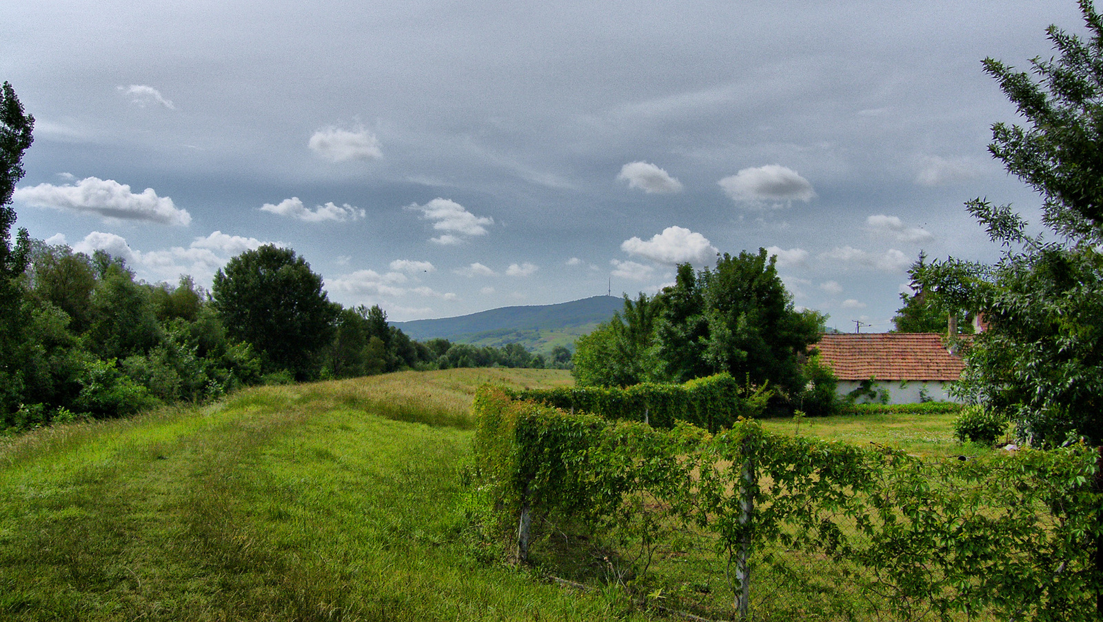 A tokaji-adótorony