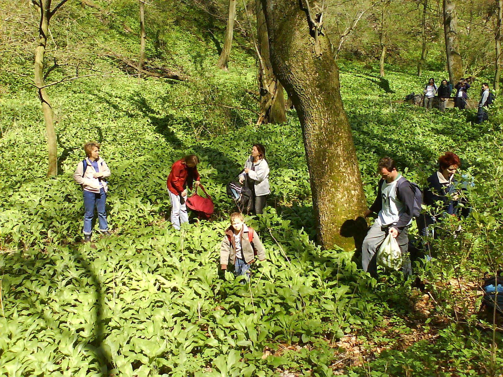 12.04 pihenő