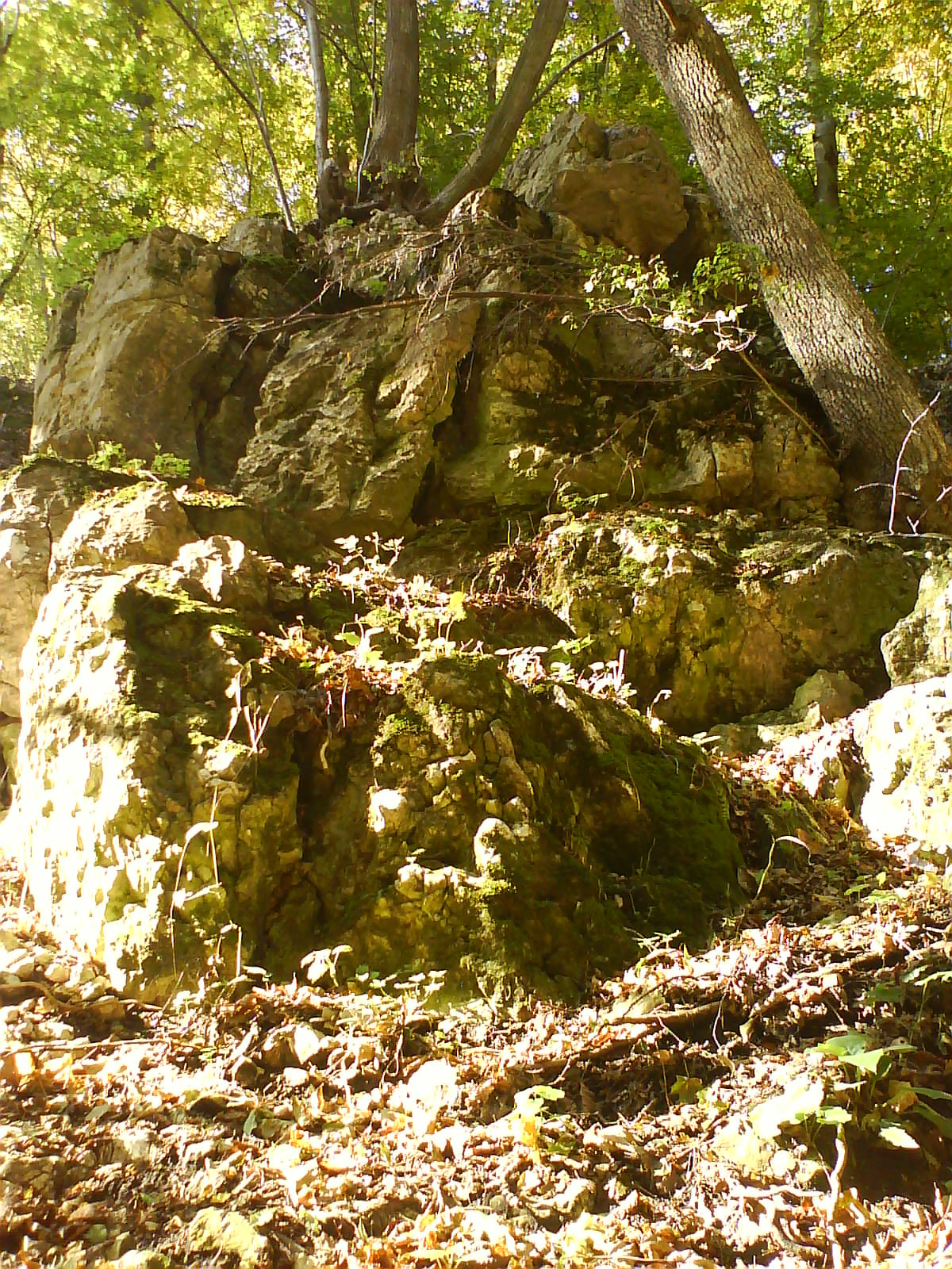 13.50 szikla a Cuha völgyben