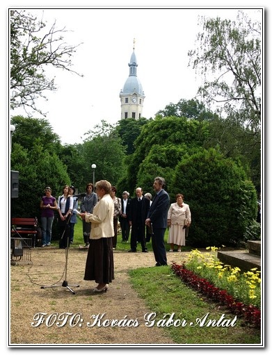 Hősök napja31