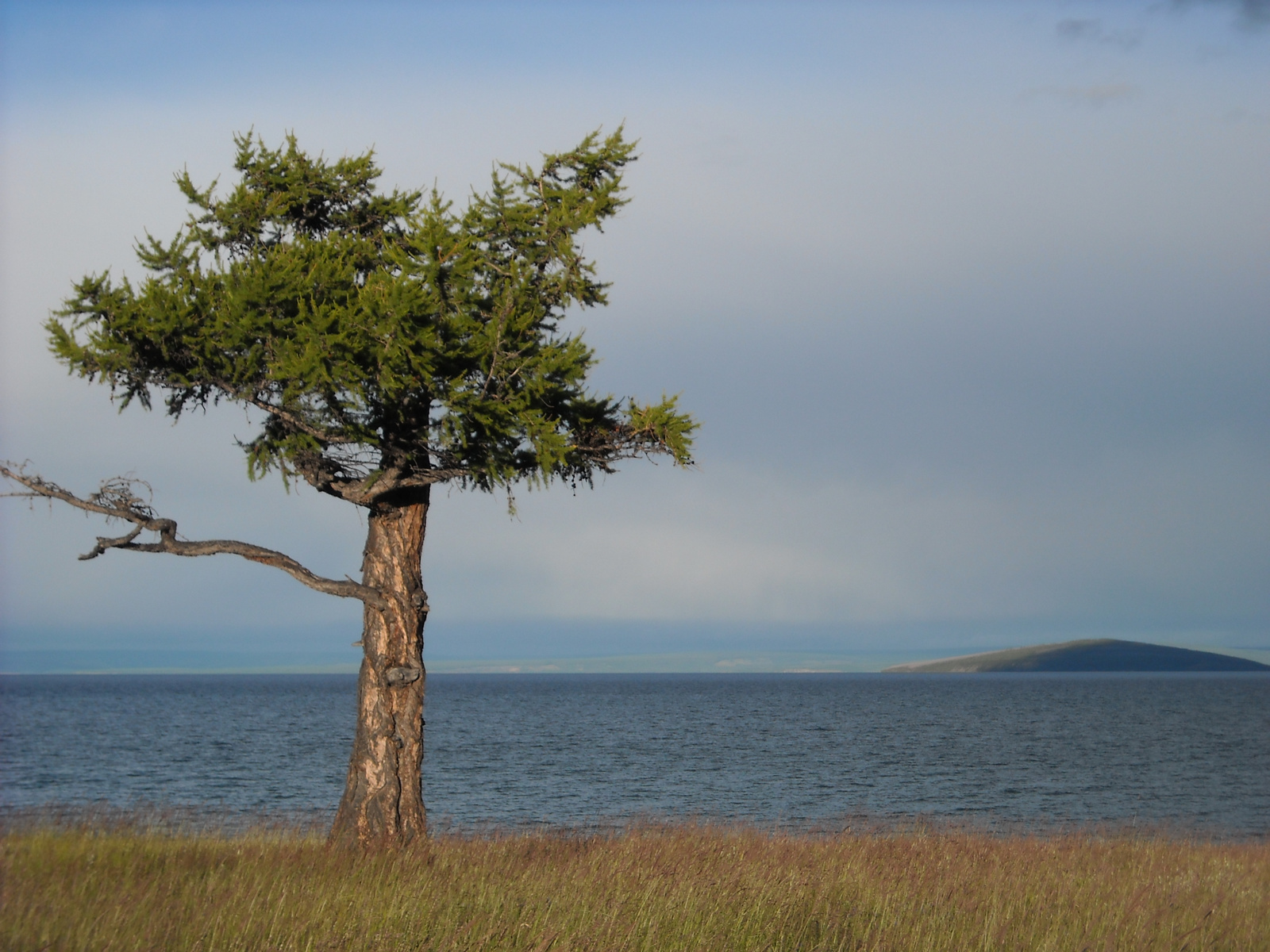 Mongolia 2010 302