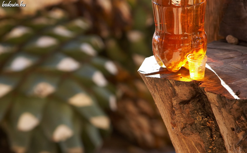 Domestic Mezcal - Hierve de Agua, Mexico, 2007