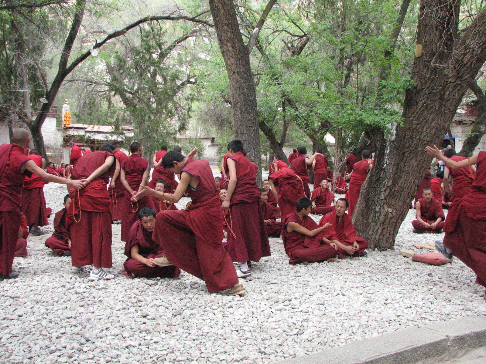 2010szecsuán-tibet 416