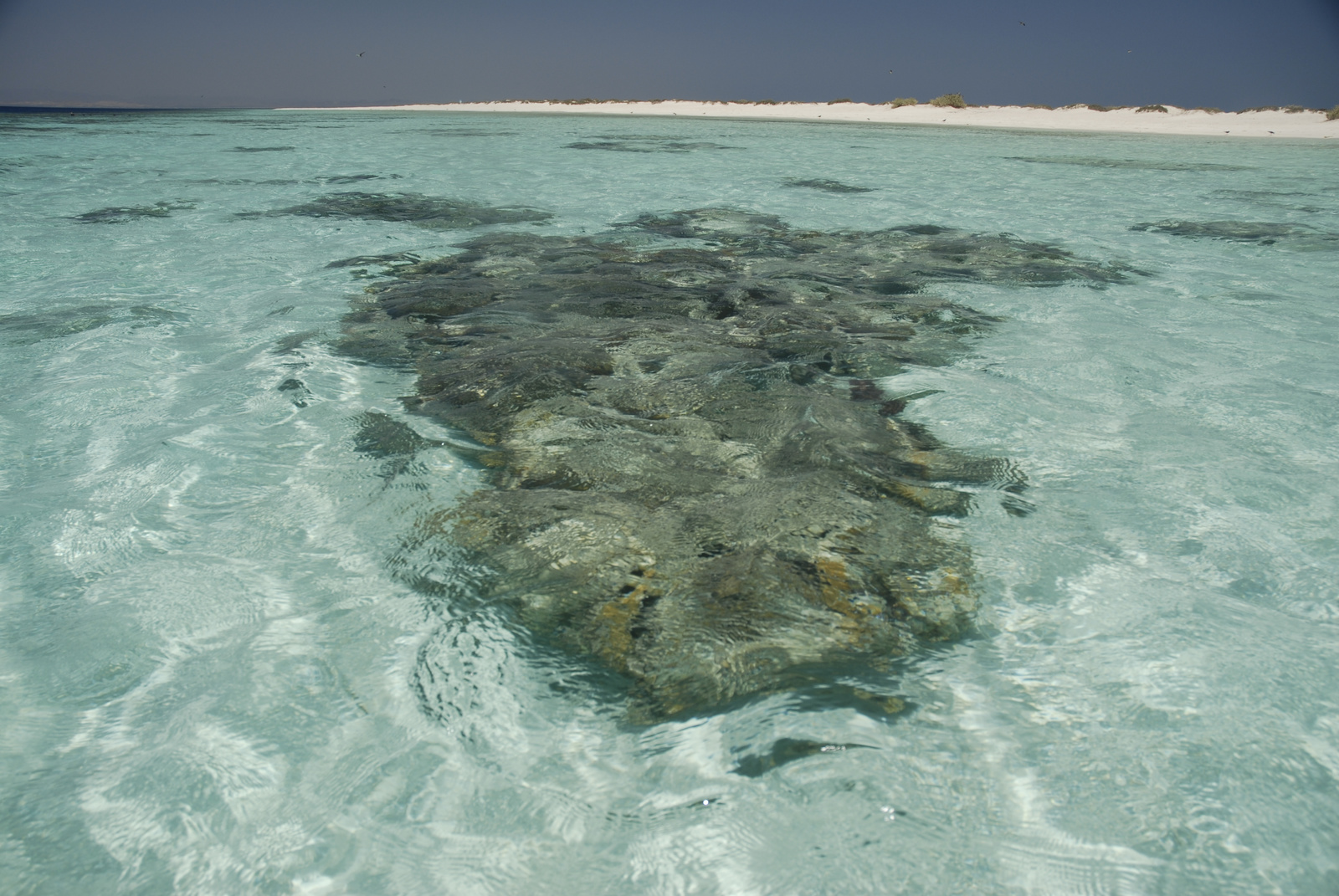 Marsa Alam (134)