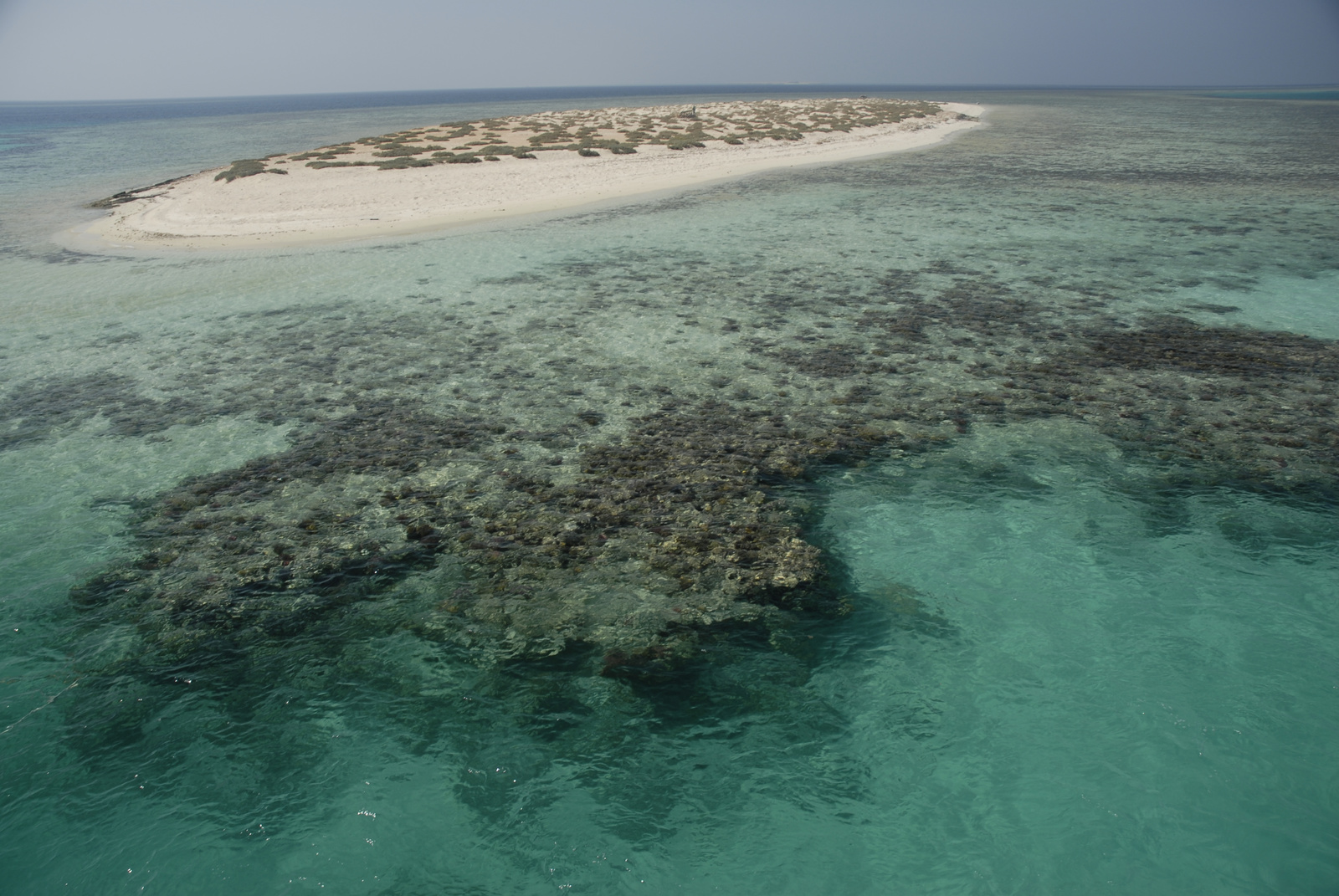 Marsa Alam (218)