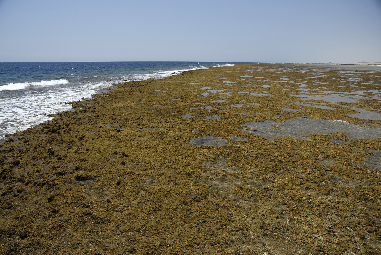 Marsa Alam , apály