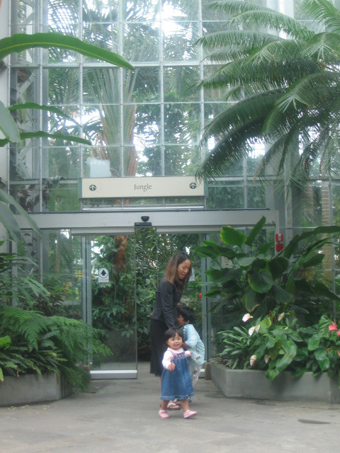 Botanic Gardens