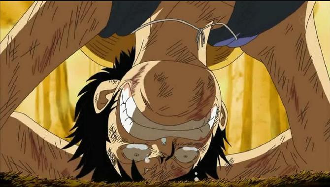 Luffy12