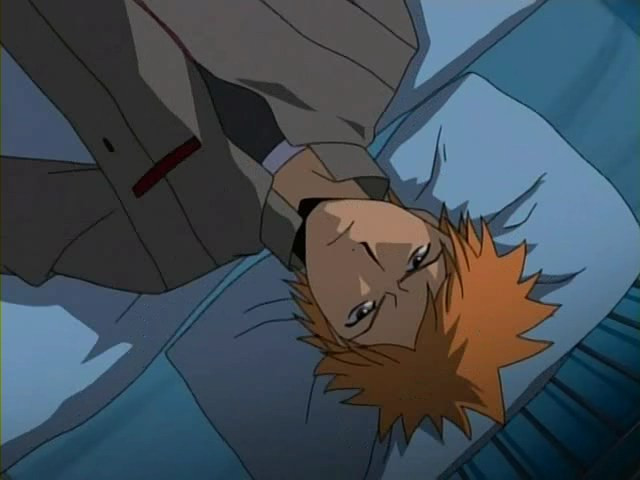 bleach ichigo0010