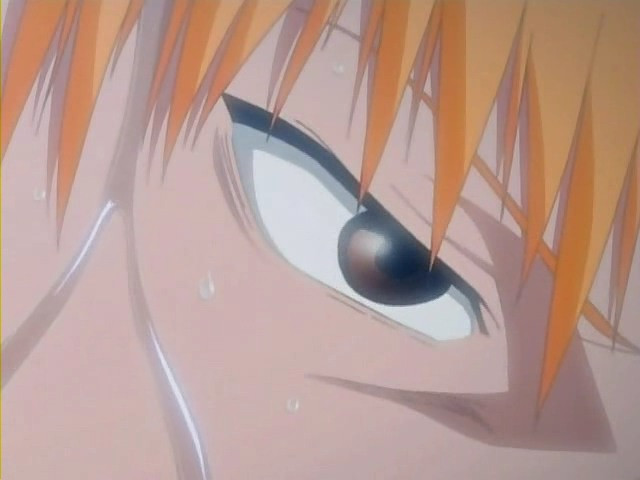 bleach ichigo0364