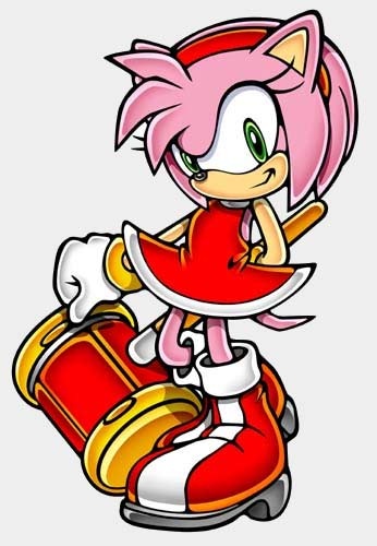 1155827558 ryAmy Rose