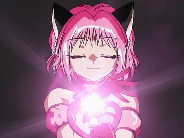 tokyo mew mew 004