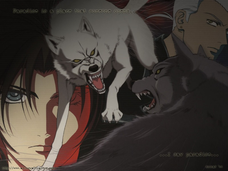 wolfsrain 1 800