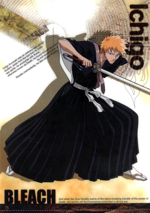 bleach 110