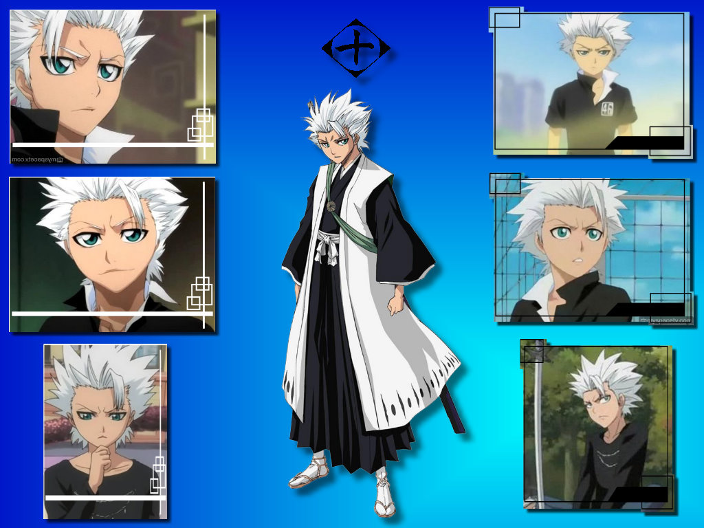 bleach - hitsugaya toushirou 211