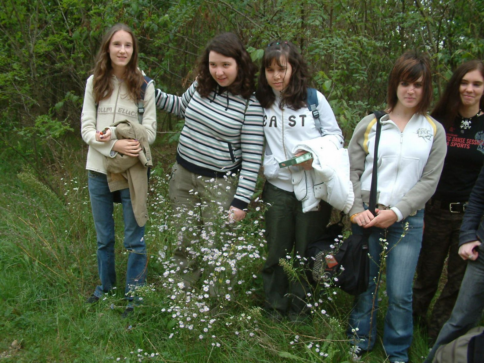 Lőrinci erdő (16)