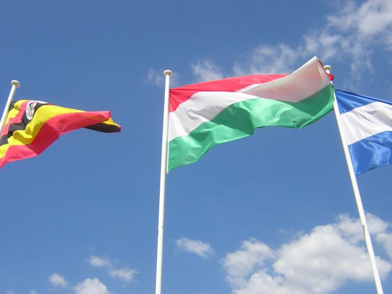 Magyar zászló Athénban