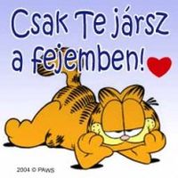 Csak te jàrsz a fejemben!