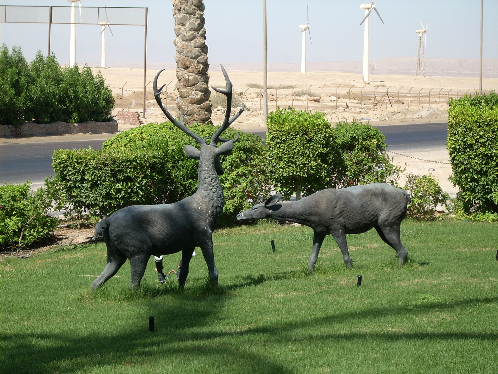 HURGHADA-HOTEL-TENGER236