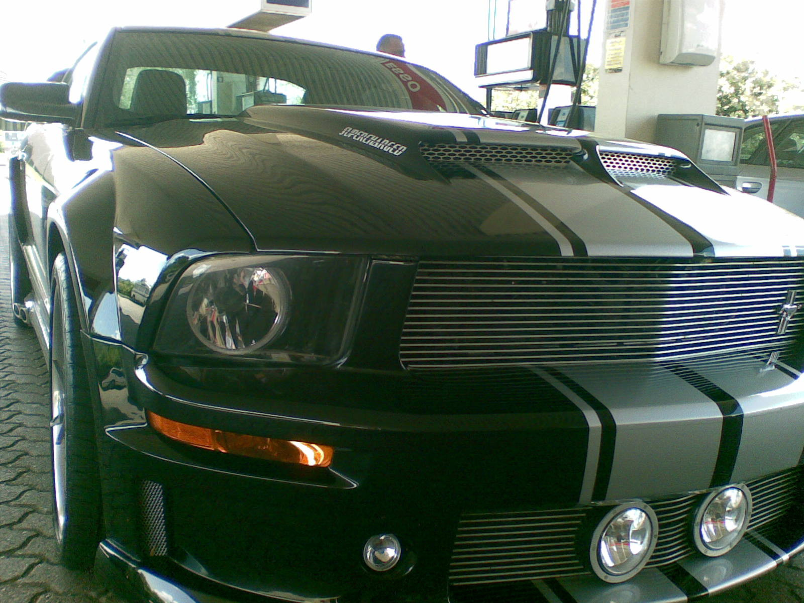 Ford Mustang Shelby-3