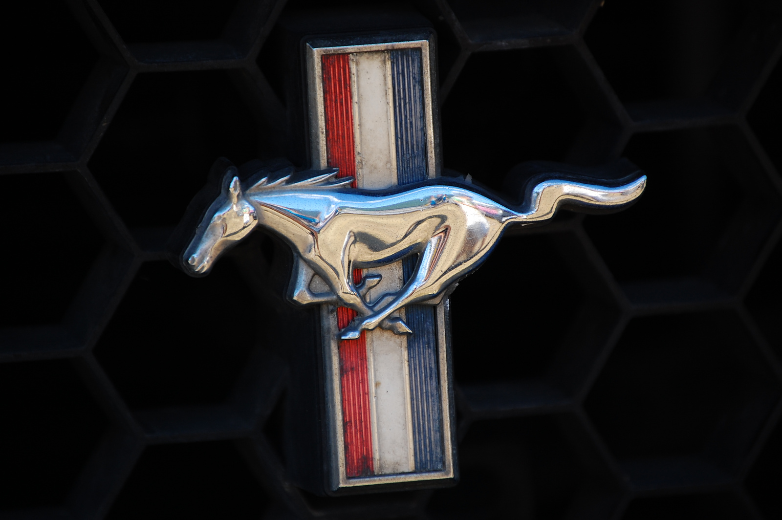 Mustang logo