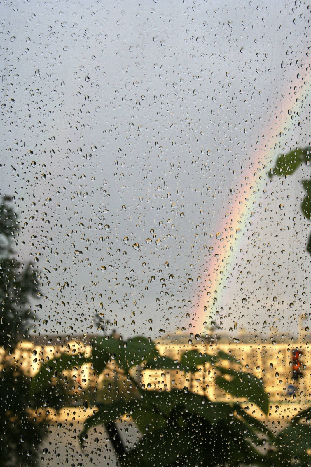 rainyBUDAPEST