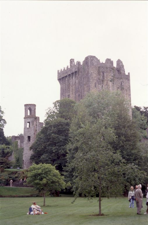 231 Bunratty