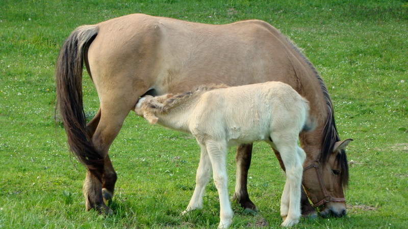 fotók 2009.04.24. 122