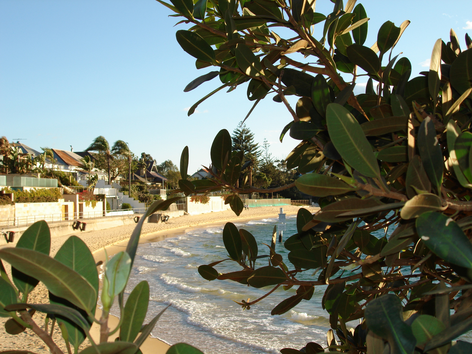 Watsons Bay:) Beach