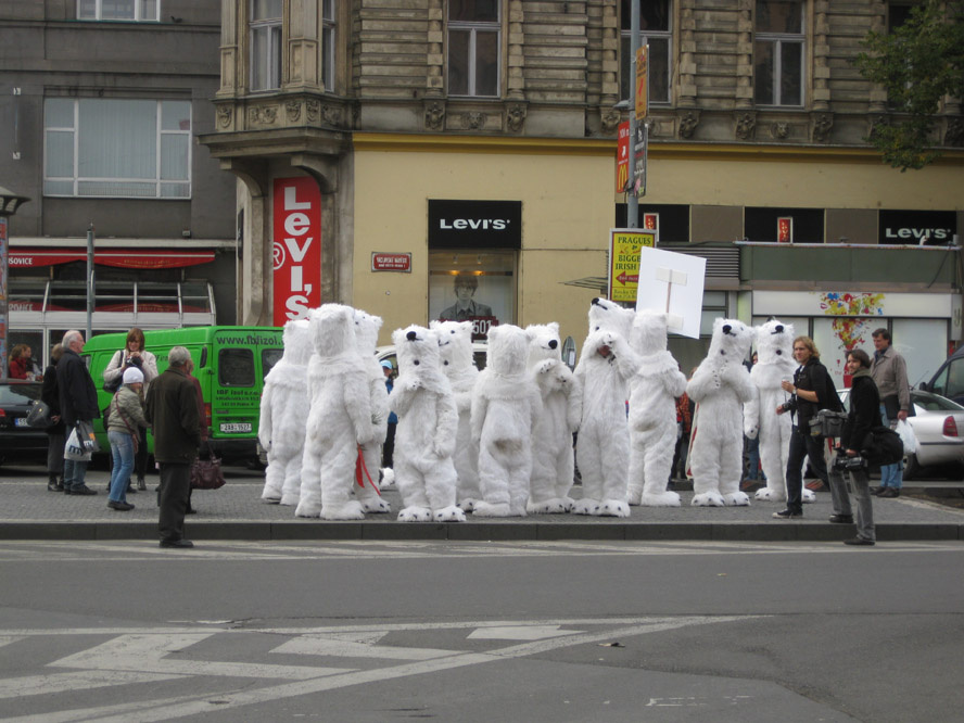 A gégemetszett jegesmedvék azonnali hóesésért tüntettek Prágában