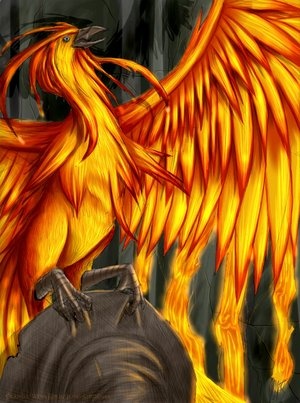 Fawkes1