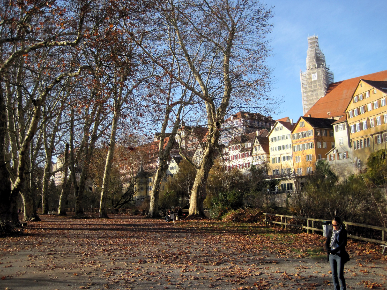 neckar-sziget01