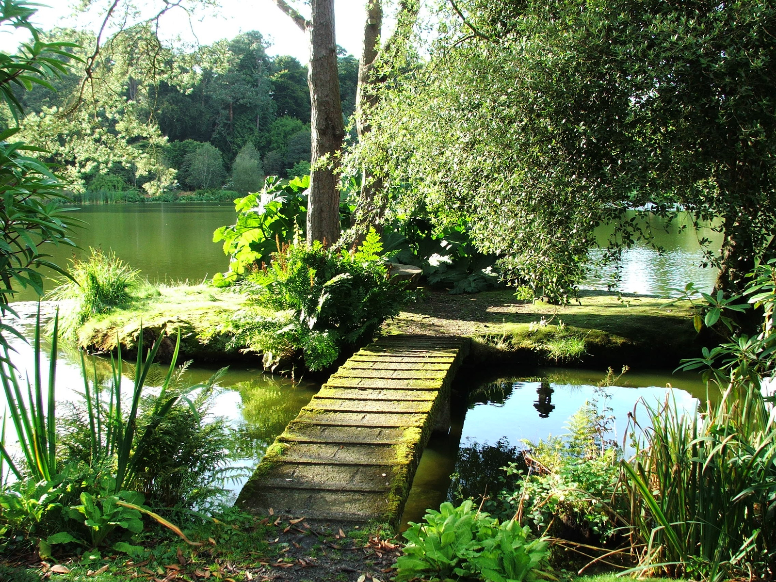 Mount Stewart House And Gardens