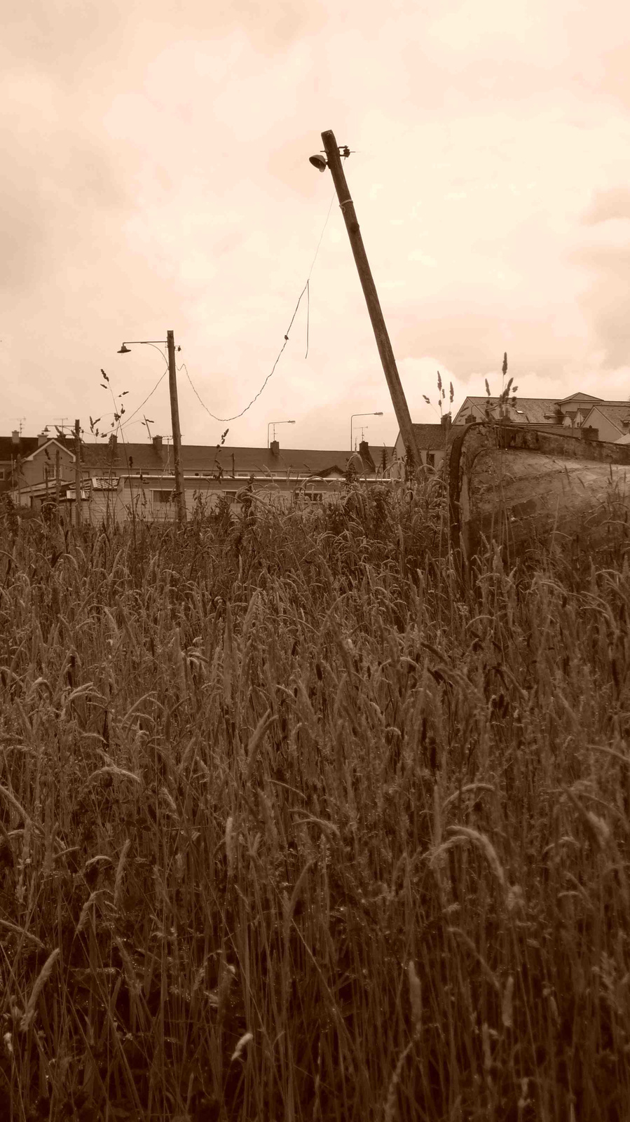 Bundoran Sepia