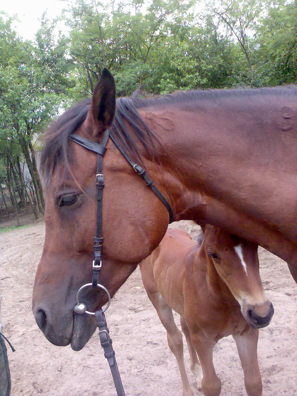 200906Tábor021