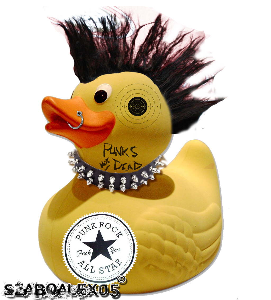 punk duck