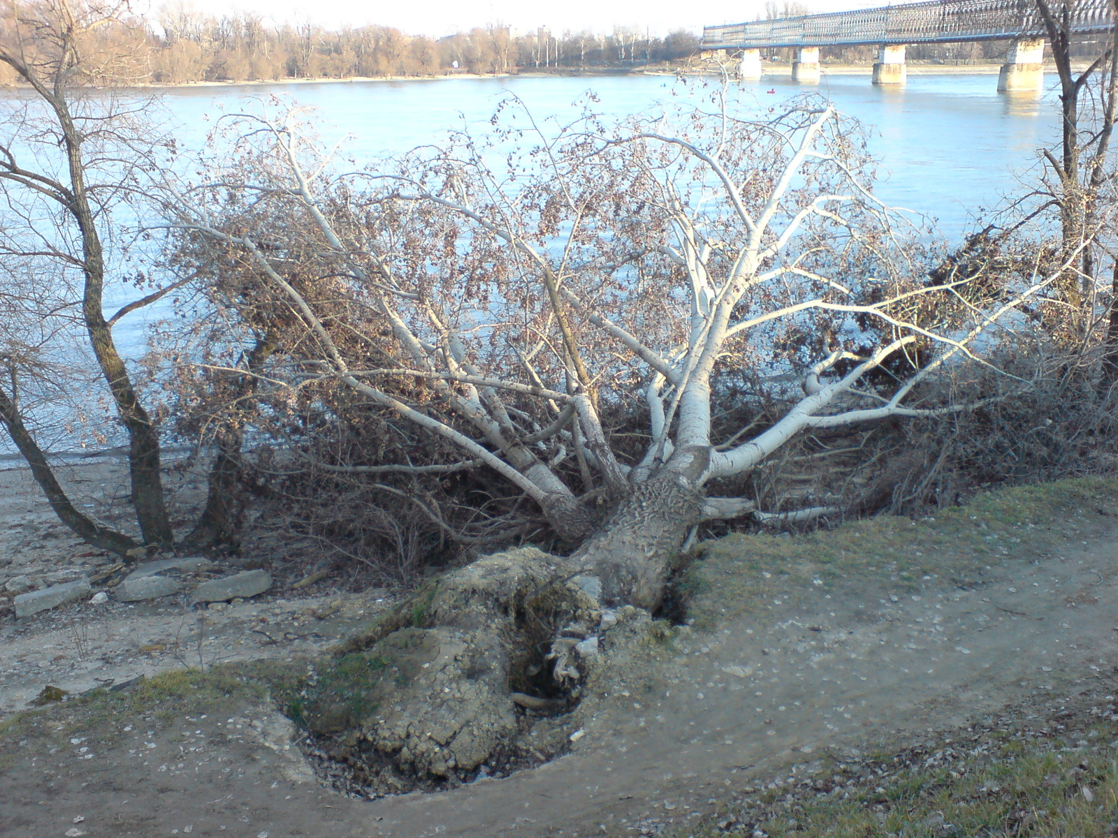 2008.01.28 Következmények, károk (2)