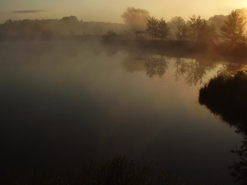 A sárberki tó hajnalban