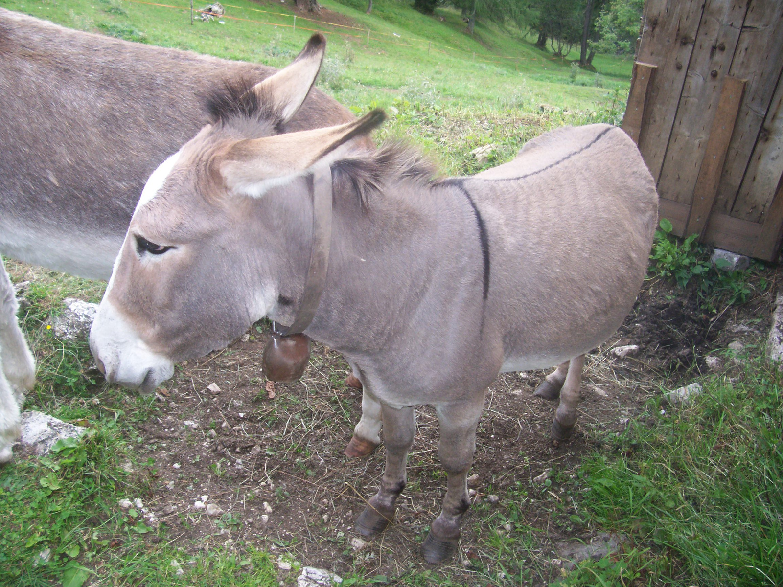 dolomiti viceza padova 188