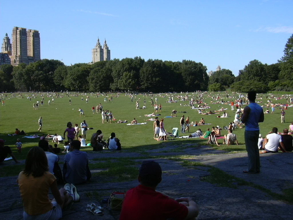 455 Central Park-Sheep Meadow