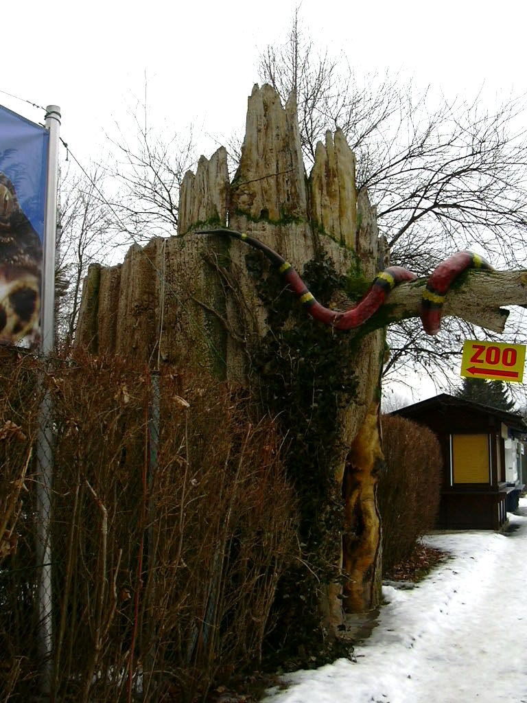 367 Vidámpark bejárat a fatörzs alatt, Klagenfurt