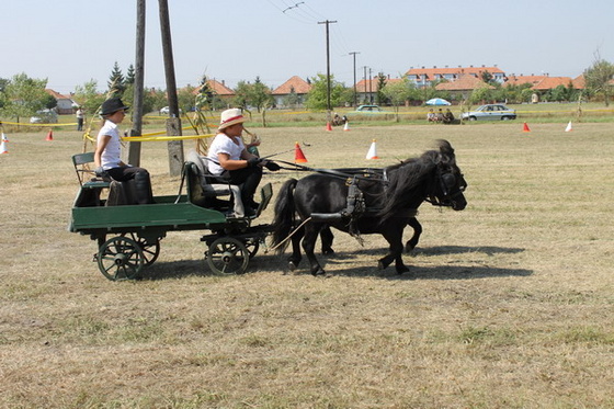 Aham! Pici ő közerlől is